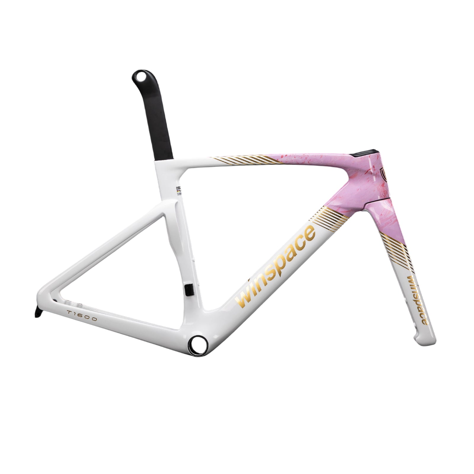 Quadro Winspace T1600 Maglia Rosa Champion